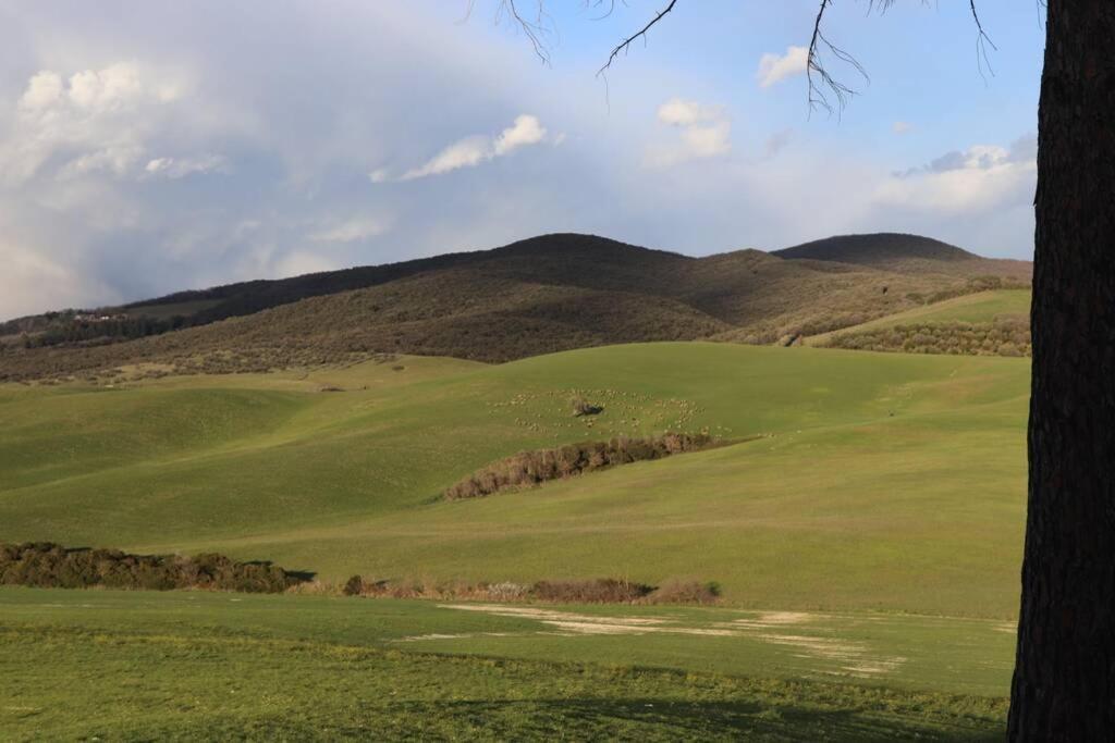Antiche Fonti Lägenhet Bibbona Exteriör bild